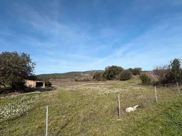 Terrain agricole