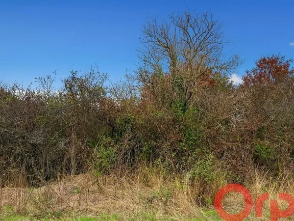 Terrain 2000 m²