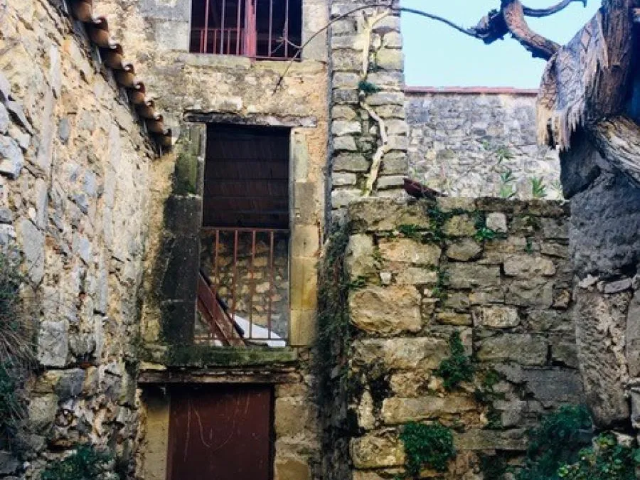 Photo 6