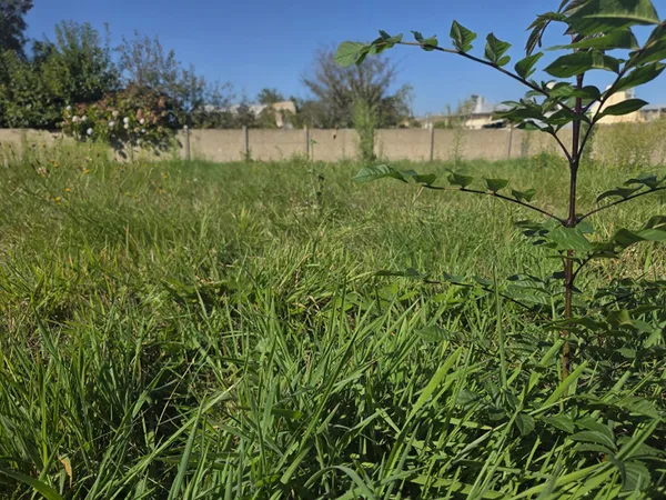 Terrain 1612 m²