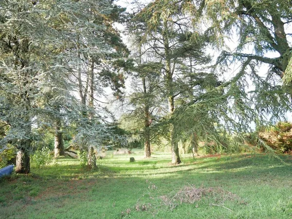 Maison 7 pièces 191 m²