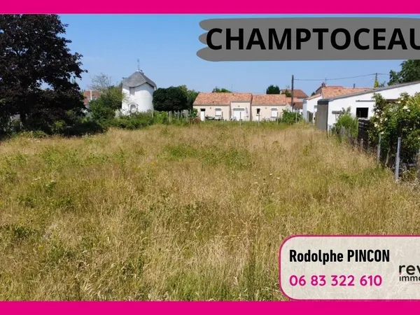 Coup de cœur à Champtoceaux : votre futur projet commence ici !