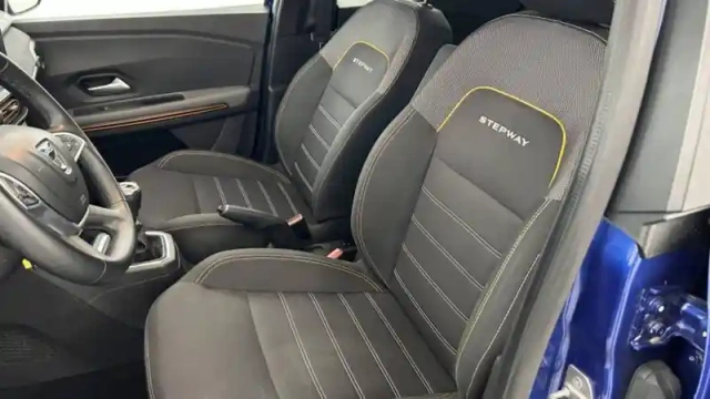 Dacia Sandero eco-g 100 - 22 — photo 15