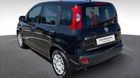 Fiat Panda Classic 1.0 70ch BSG S&S Icône Step 2 — photo 6