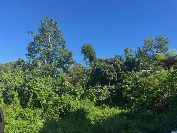 Parcelle constructible 354 m2