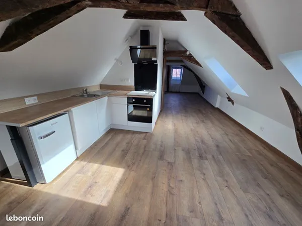 Appartement F1 bis neuf centre ville