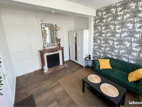 Appartement T2 - hypercentre de Troyes - Bouchon