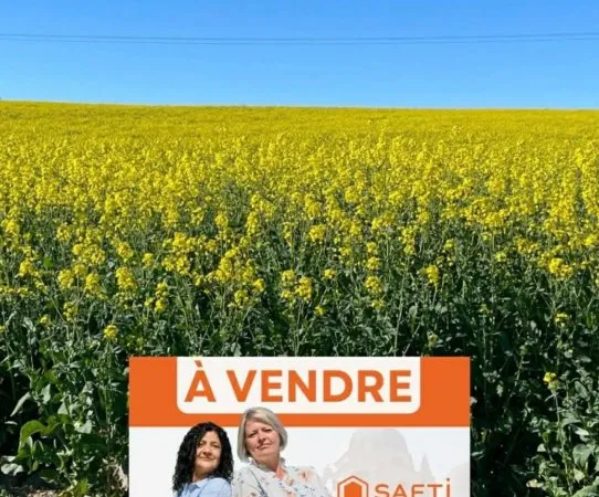 Terrain constructible