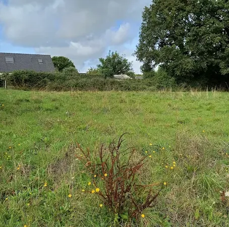 Maison neuve 3 pièces 63 m²