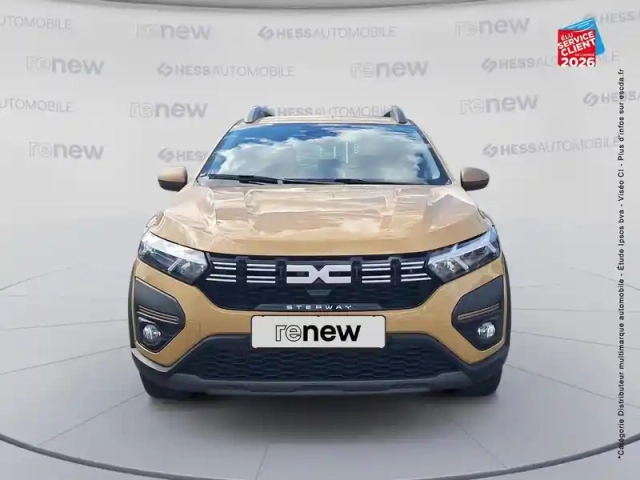 Dacia Sandero 1.0 eco-g 100ch stepway extreme + -24 — photo 17