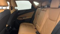 Lexus Nx 450h+ Executive 4WD MY24 — photo 13