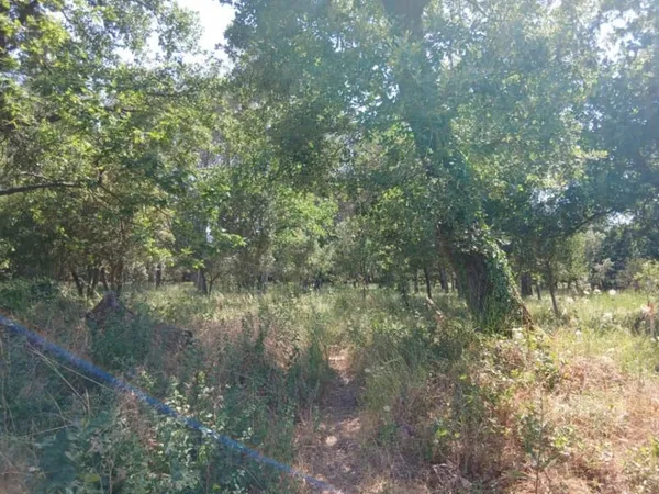 Terrain 705 m²