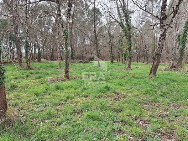 Terrain 1484 m²