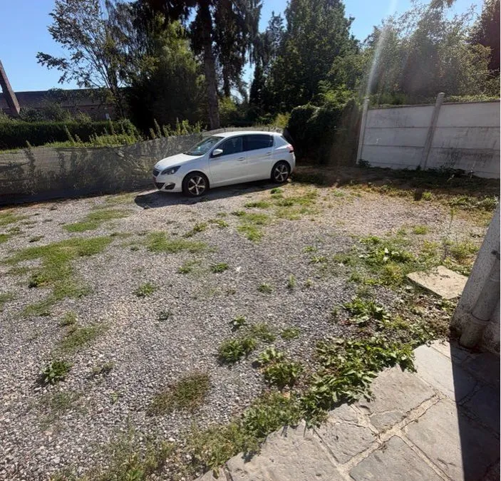 Photo 3