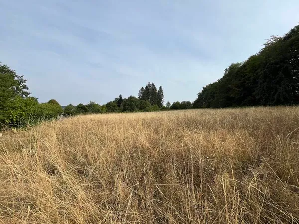 Terrain 2977 m²
