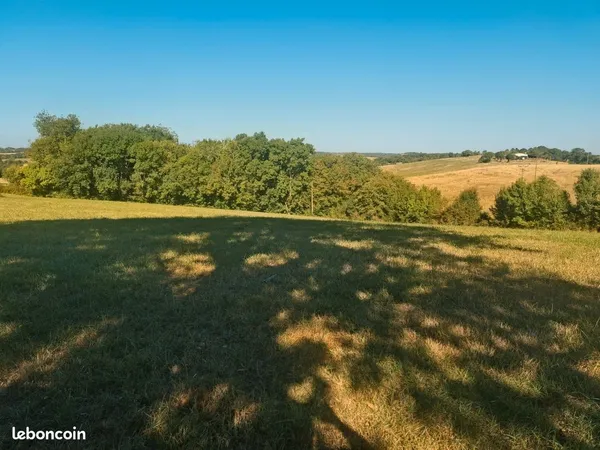 Terrain et bois
