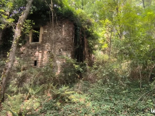 Terrain agricole boisée