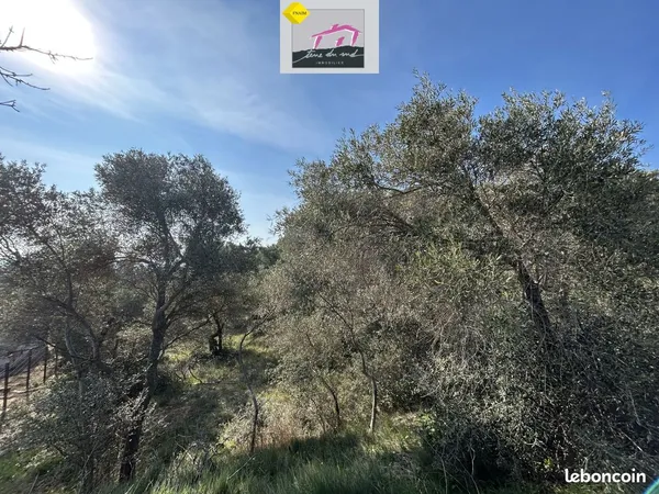 Terrain 1300 m² Lézignan-Corbières