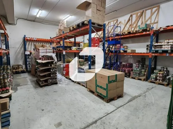Local d'activité 426 m²