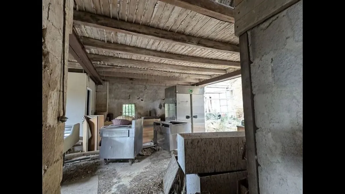 Photo 3