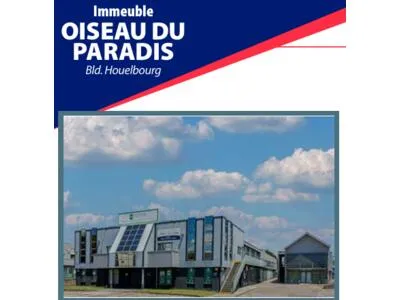 LOCAL COMMERCIAL No2BA DE 100 M2 IMMEUBLE OISEAU DU PARADIS