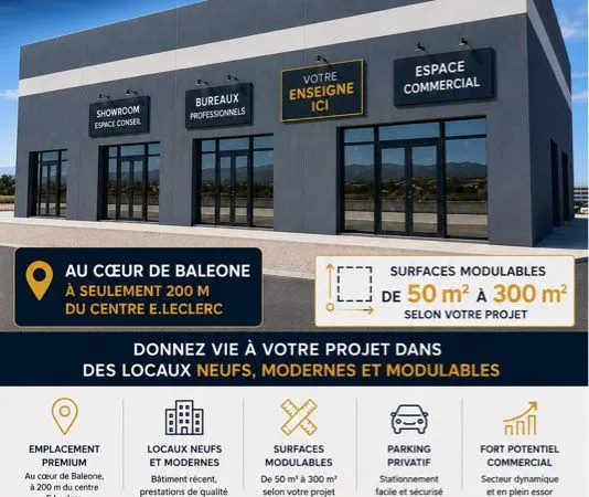 Opportunité sur Baleone locaux pros