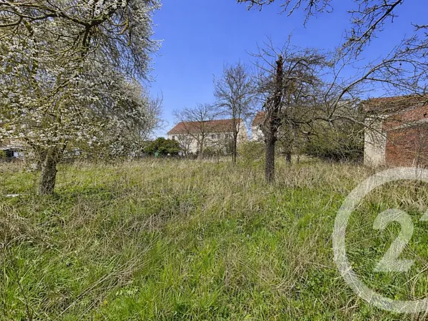 Terrain 1556 m²