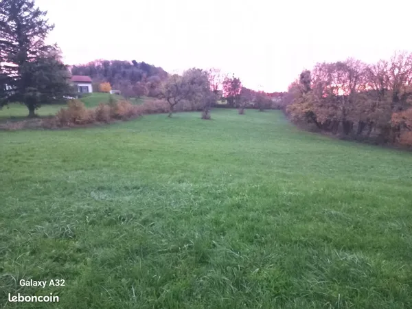 BAISSE DE PRIX - Terrain Agricole Idéal pour un Projet Naturel - 6847 m²