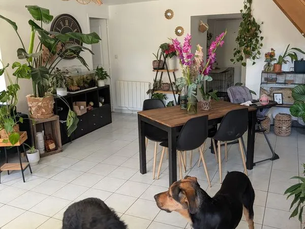Maison de 120m2 avec 700 m2 de terrain