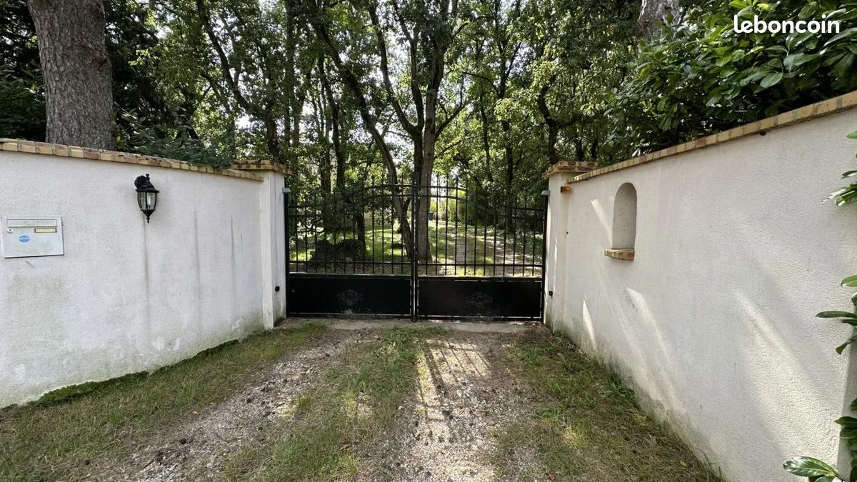 Photo 19