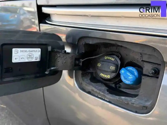 Ford Tourneo grand  connect 2.0 ecoblue 102 bvm6 — photo 20