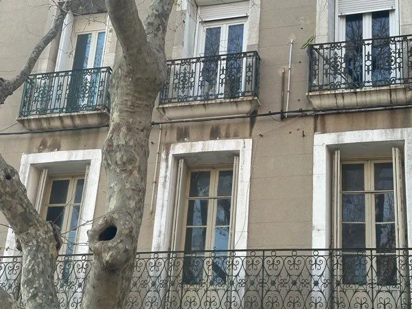 Location immobilière