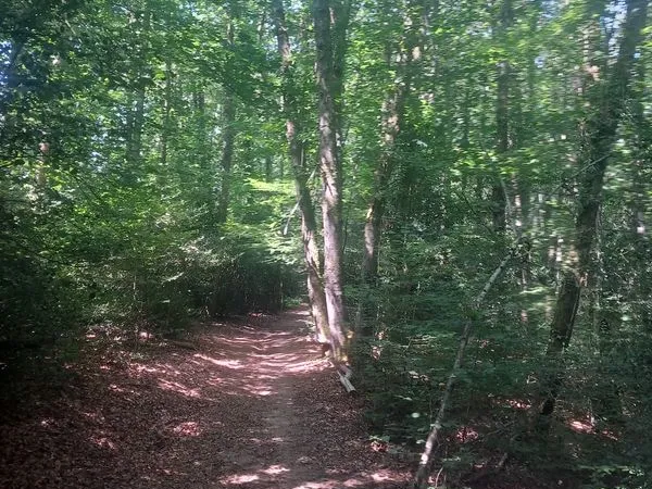 Bien agricole et foncier Vente Lacrouzette  8250m² 8950€