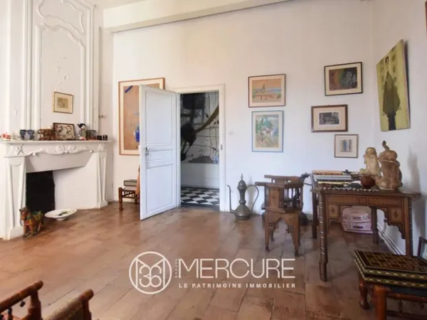 BELLE MAISON DE MAITRE EN VILLE - JARDIN