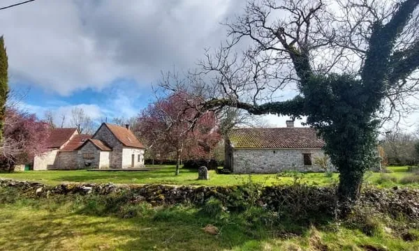 Hôtellerie et restauration Vente Saillac 15p 326m² 295000€