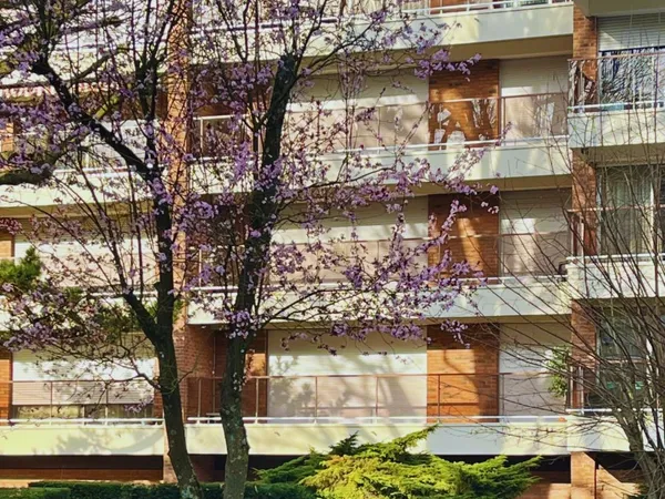 Appartement 3 pièces 80 m²
