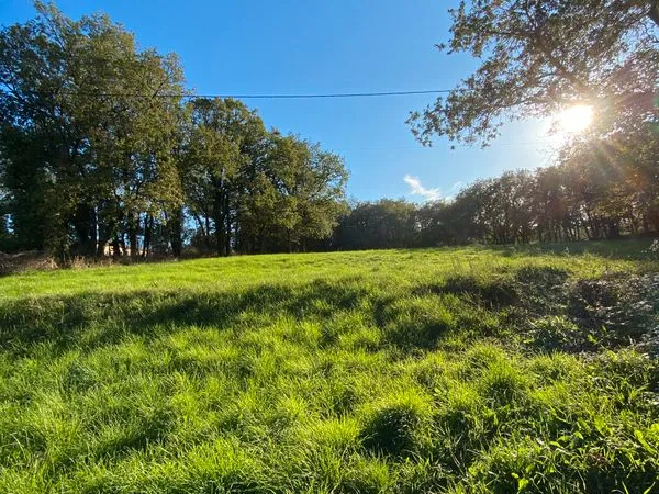Terrain avec CU