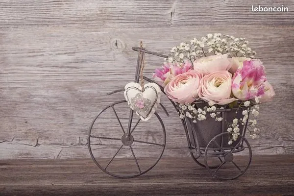 Fonds de commerce Fleurs/décoration/Cadeaux