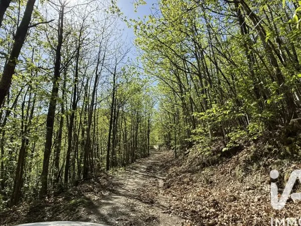 Terrain 13381 m²