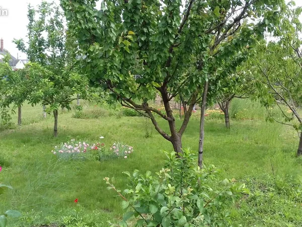 A vendre un terrain constructible viabilisé à Saumur