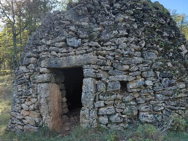 Terrain boisé de chênes avec caselle
