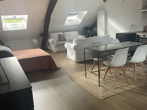 Loue grand studio/loft