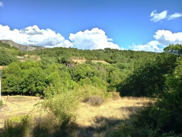 Terrain 2745 m²