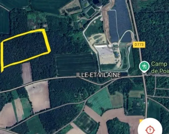 3,6 ha de bois, pins maritimes