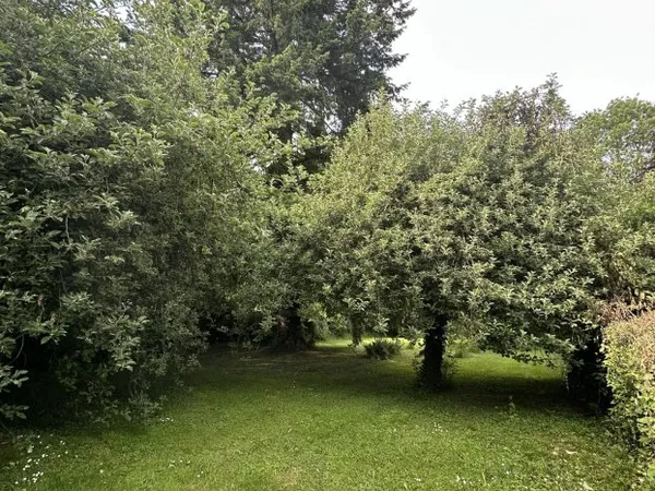 Terrain en individuel 1000 m²