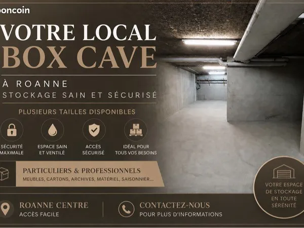 Local / Box / Stockage / Cave / Garage / Garde-meuble - Roanne (A partir de 50)