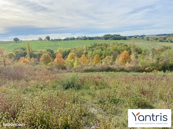 Terrain 1345 m² Montastruc-la-Conseillère