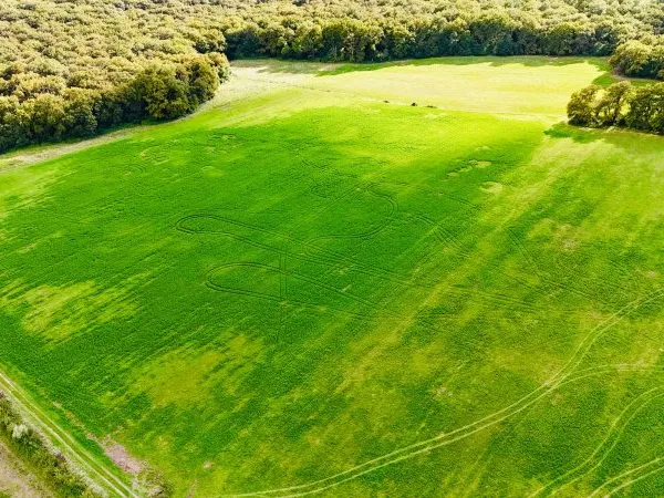 Terrain 268809 m²