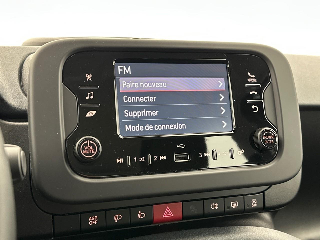Fiat Panda pandina 1.0 65 ch hybrid bsg s/s icone — photo 21