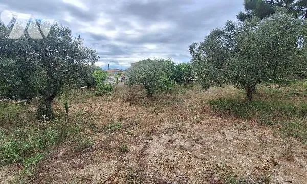 Terrain 462 m²